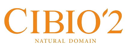 ciboi-removebg-preview